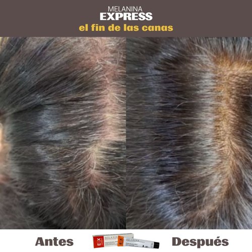 Recharge Export Cosmetics Melanin Express Color 60g Recharge Export Cosmetics Melanin Express Color 60g